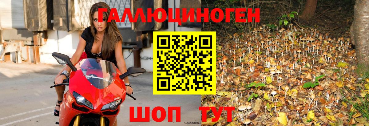Галлюциногенные грибы MAGIC MUSHROOMS  где купить   Костомукша  Вход с VPN 